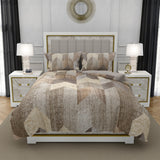 Moon Breeze, TC 250, 100% Pure Cotton Bedsheet with 2 Pillow Covers, 10001